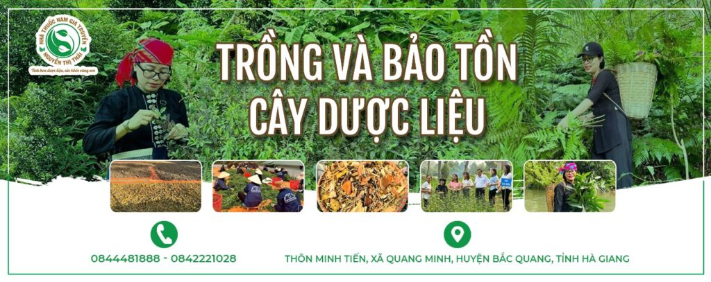 trong-va-bao-ton-duoc-lieu