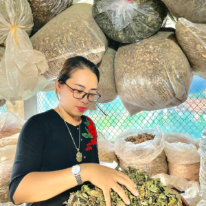 luong y nguyen thi thai