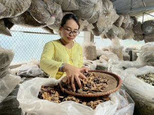 luong-y-nguyen-thi-thai