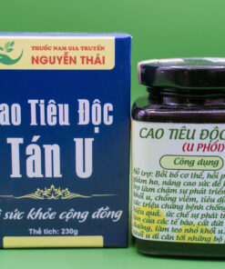 u phổi